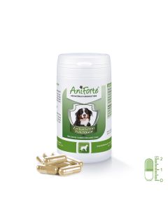 AniForte® Tekenschild voor grote honden (vanaf 35 kg)
