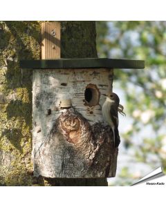 Natuurlijke berken nestkast met 32 mm invliegopening voor mezen en andere holenbroeders. Perfecte nestplek voor tuinvogels in de tuin ➤ Aniculis Shop
