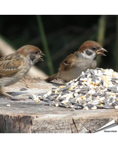 Bio Strooivoer voor tuinvogels (2.5 kg)