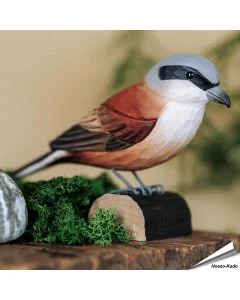 Houtgesneden vogel in de vorm van een Grauwe klauwier is een mooie decoratie waar het hele gezin dol op zal zijn ✔️ Levensecht vorm- en kleur gegeven model ➤ Koop nu online bij Aniculis
