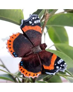 Houten Atalanta vlinder van Wildlife Garden tussen takken en bladeren, met een donkere vleugeltekening, feloranje dwarsbanden en gekartelde vleugelranden.