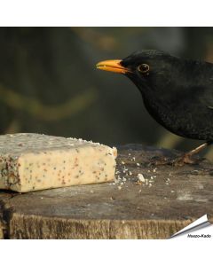 Merel geniet van de Aniculis Energieblok met meelwormen (280g)