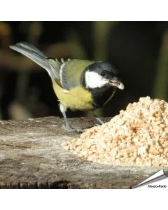 Fijn gehakte Premium pinda's (1 kg)