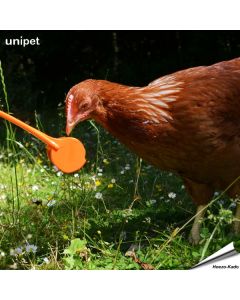 Hentastic® - Fun feeder voor kippen