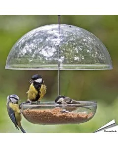 I love Robins - Feeder - Hangende voedertafel