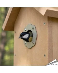 Bescherm je nestkast tegen uithakken met ons invliegplaatje (rozet) ✔️ Verkleint de invliegopening op 32mm ✔️ Gemaakt van roestvrij staal ✔️ Geschikt voor koolmezen en andere tuinvogels ✔️ Bestel nu op Aniculis