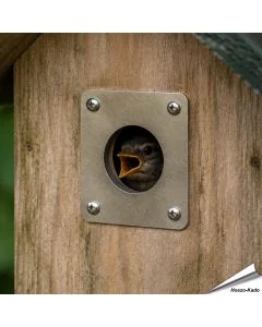 Bescherm je nestkast tegen uithakken met ons invliegplaatje ✔️ Verkleint de invliegopening op 34mm ✔️ Gemaakt van roestvrij staal ✔️ Geschikt voor mussen, roodstaart en vliegenvanger ➤ Bestel nu op Aniculis