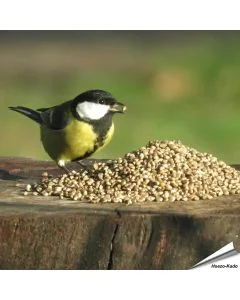 Kempzaad - Tuinvogelvoer voor wilde vogels - Aniculis.nl