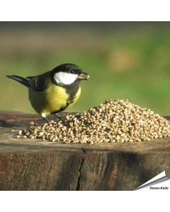 Kempzaad - Tuinvogelvoer voor wilde vogels - Aniculis.NL