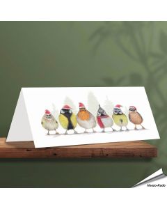 Kerstkaart met leuke teuinvogels - Voor natuurliefhebbers - www.aniculis.nl