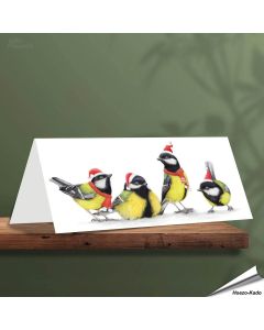 Kerstkaart met leuke koolmezen - Voor natuurliefhebbers - www.aniculis.nl