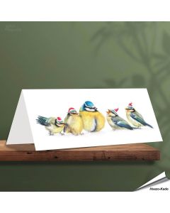 Kerstkaart met leuke pimpelmezen - Voor natuurliefhebbers - www.aniculis.nl