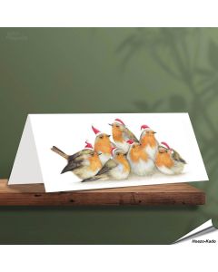 Kerstkaart met leuke Roodborstjes - Voor natuurliefhebbers - www.aniculis.nl