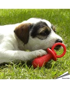 Little Petface - Kauwspeeltjes Set voor puppies (4 stuks)