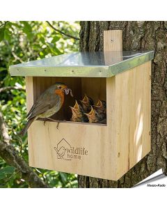 Nestkast voor roodborstjes: help deze vogels een nestje te bouwen! Aniculis