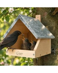 Houten halfholen nestkast tegen een boomstam met metalen dak, waarin twee jonge merels hun snavels openen terwijl een volwassen merel voedsel brengt.