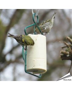Pindacake met insecten voor wilde vogels ✔️ Calorierijk vogelvoer ✔️ Rijk aan essentiële vetten ✔️ Vogelbescherming Nederland ➤ Nu online kopen bij Aniculis Nederland