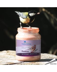 Speciale Vogelbescherming pindakaas voor tuinvogels - Bosvruchten ✔️ Geen zout toegevoegd ✔️ Calorierijke lekkernij voor wilde vogels ➤ Bestellen op www.aniculis.nl