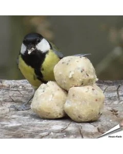 Kleine vetbollen voor wilde vogels - Tuinvogelvoer - Aniculis Shop