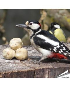 Kleine mezenbollen voor wilde vogels - Tuinvogelvoer - Aniculis