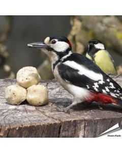 Kleine mezenbollen voor wilde vogels - Tuinvogelvoer - Aniculis