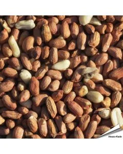 Premium pinda's (5 kg)