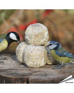 Premium vetbollen met insecten - Doos (50 x 90g)