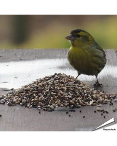 Premium vogelvoer - Tuinvogels (1 kg)