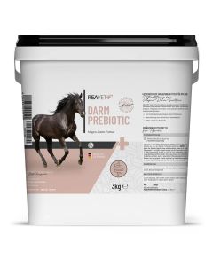 ReaVET Darm Prebiotica voor Paarden - Ondersteuning van maag- en darmfunctie van Paarden