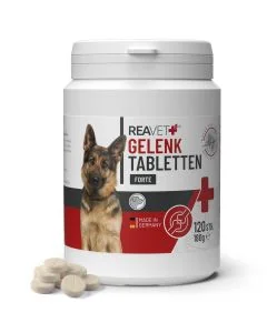 Gewrichtstabletten FORTE helpen bij het ondersteunen van gewrichten, banden en pezen ✔️ Voor volwassen, actieve en oudere honden ➤ Ontdek op Aniculis!