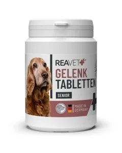 Natuurlijke gewrichtstabletten voor senior honden ✔️ Met glucosamine, MSM, groenlipmossel & rozenbottelpoeder ✔️ Soepele gewrichten en vitaliteit ➤ Aniculis Shop