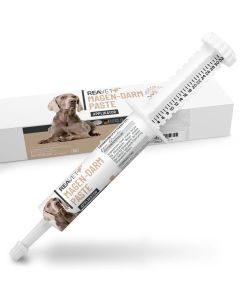 ReaVET Maag en Darm Pasta voor Honden (30ml)