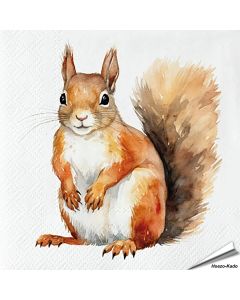 Servetten Eekhoorn | 20 stuks | FSC & 3-laags | Aniculis