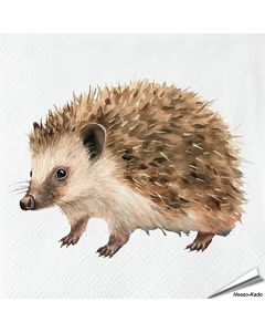 Servetten Egel | 20 stuks | FSC & 3-laags | Aniculis