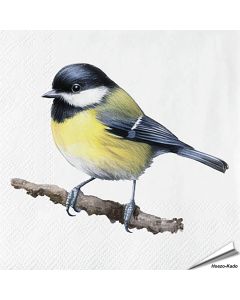 Servetten Koolmees| 20 stuks | FSC & 3-laags | Aniculis