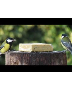 Energieblok / Vetblok met  Insecten voor vogels (280g)