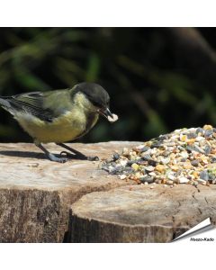 Tarwevrij wildvogelvoer 10 kg van premium kwaliteit ✔️ Evenwichtige voedermengeling voor wilde vogels ✔️ Het hele jaar door – Voor tuinvogels ➤ Online kopen bij Aniculis