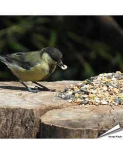 Tarwevrij wildvogelvoer 10 kg van premium kwaliteit ✔️ Evenwichtige voedermengeling voor wilde vogels ✔️ Het hele jaar door – Voor tuinvogels ➤ Online kopen bij Aniculis