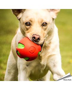 toyz - Crinkle Ball (rood)