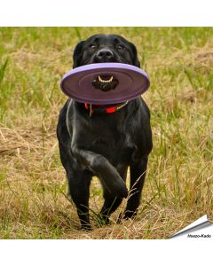 2 toyz - Frisbee voor honden (groot) - speeltje voor honden