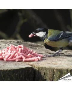 Energierijke vet traktaties met bessen voor tuinvogels ✔️ Ideaal voor het hele jaar door voeren ✔️ Delicatesse voor o.a. merels, roodborstjes... ➤ Online kopen bij Aniculis