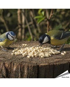 Plantaardige vet pellets vol energie voor tuinvogels ✔️ Ideaal voor het hele jaar door voeren ✔️ Smakelijke traktatie voor roodborstjes en merels ➤ Koop direct op Aniculis.nl