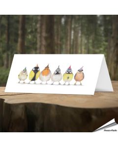 Verjaardagskaart met leuke tuinvogels - Voor natuurliefhebbers - www.aniculis.nl