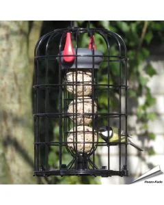 Vetbolhouder voor 3 vetbollen met beschermkooi. Ideaal voor mezen, boomklevers, mussen en andere kleine tuinvogels. Houdt grote vogels en eekhoorns op afstand - Hoezo-Kado