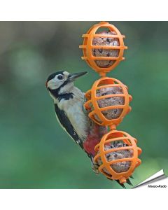 Vrolijke vetbolhouders voor vogels ✔️ Gemaakt van duurzaam kunststof ✔️ Eenvoudig op te hangen & schoon te maken ➤ Bestel nu bij Aniculis