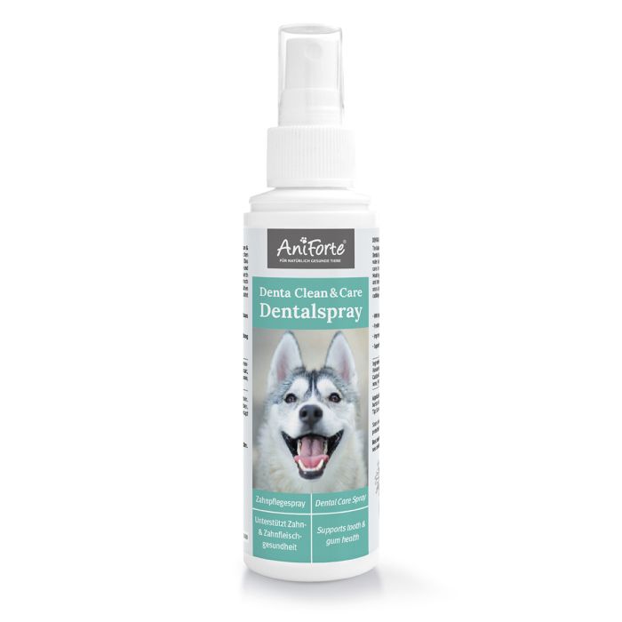 AniForte Denta Clean & Care Dentalspray (100ml)