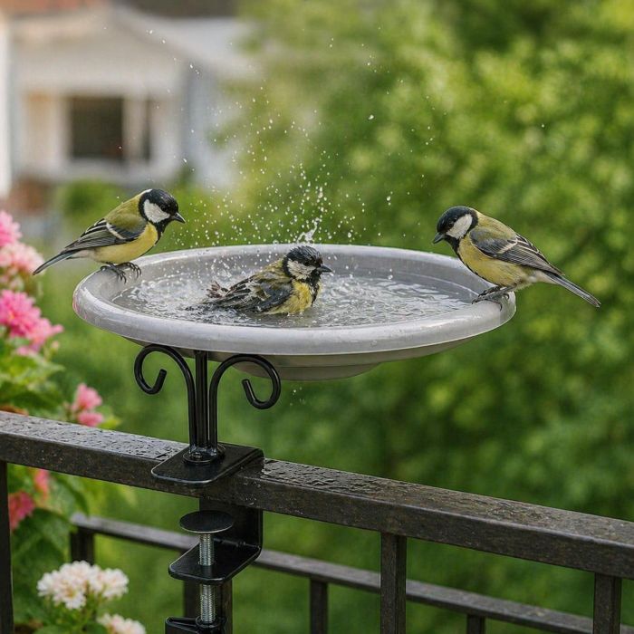 Te gebruiken als vogelbad of voerschaal - Een royale diameter van 30 centimeter - Bestel nu op www.aniculis.nl