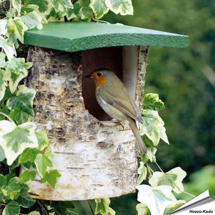Natuurlijke berken nestkast voor roodborstjes, kwikstaarten en winterkoninkjes ✔️ Halfopen nestkast ➤ Bestel op www.aniculis.nl