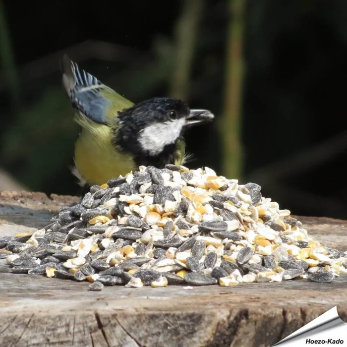 Bio strooivoer voor tuinvogels 1 kg | C.J. Wildlife