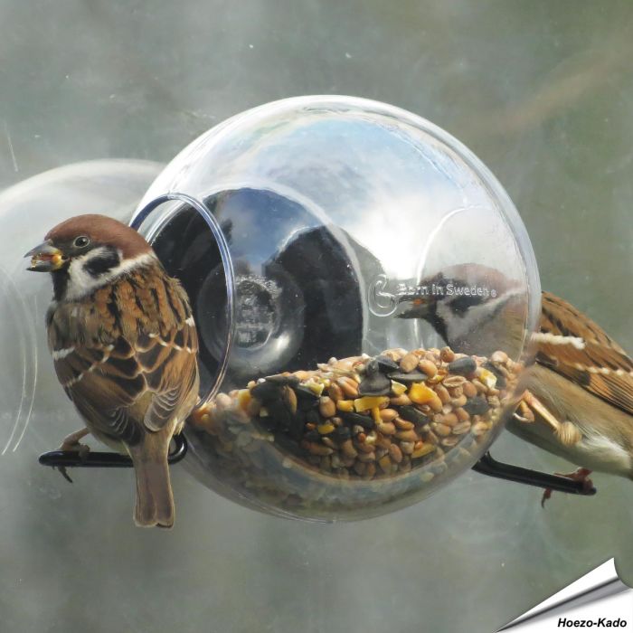 Birdfeeder raamvoederhuisje van Born in Sweden met zuignap